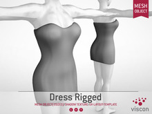 Viscon* Mesh Dress Rigged