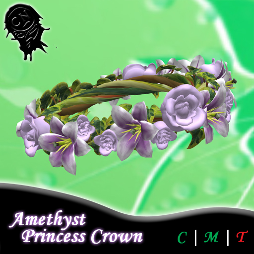 .!CN!. Amethyst Princess Crown
