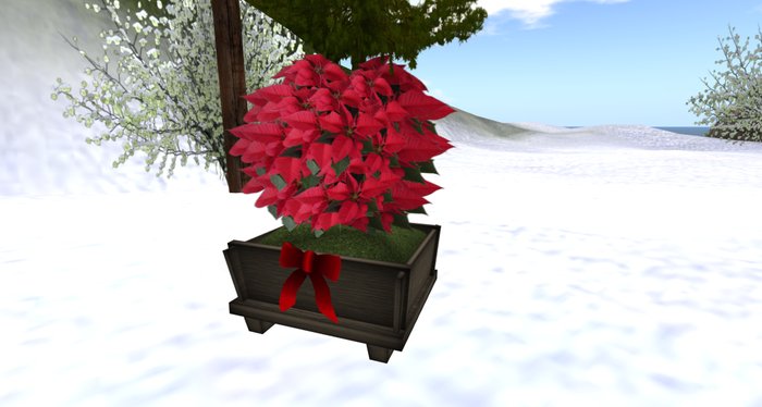 Christmas Pointsettia Planter
