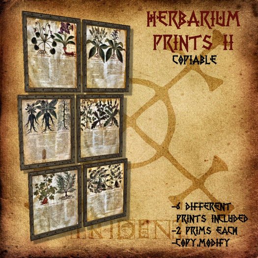 Herbarium Prints II
