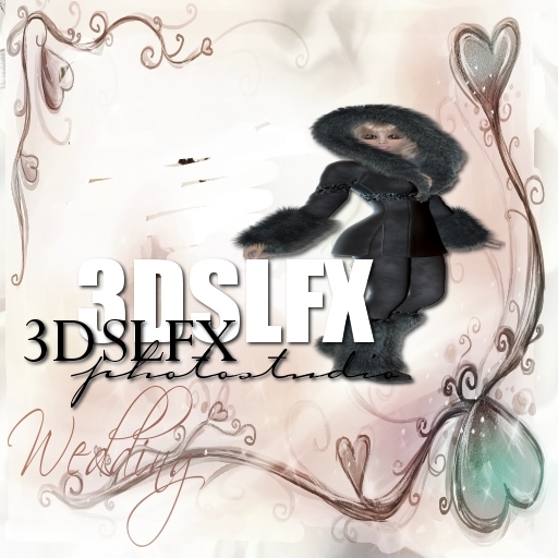 .:: 3DSLFX Photo Studio Wedding Edition::.