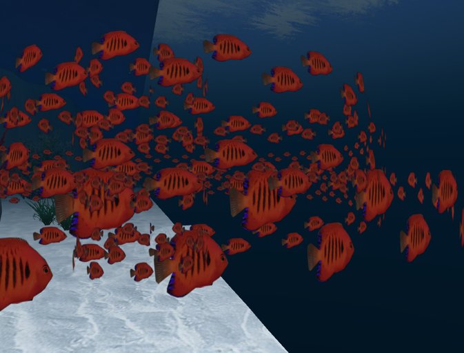 Fish School Red