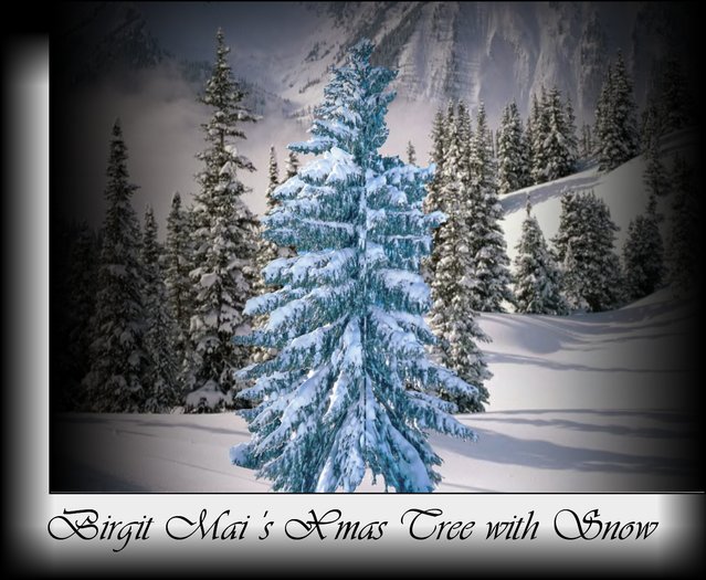 Birgit Mai 's Xmas Tree with Snow / Non Copy (BOXED)