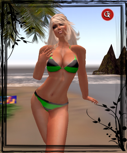 :::::THE GAMER::::: Shape Cris