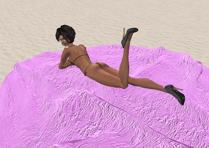 Velvet Blanket Lay and Wait by Rita Munro