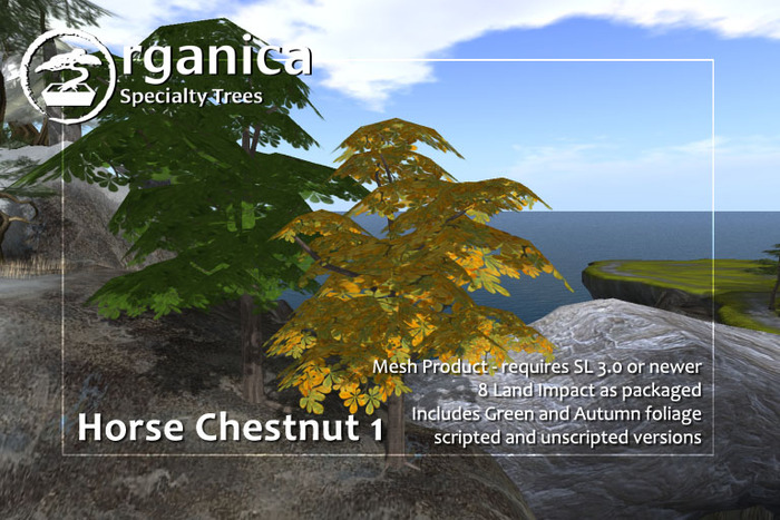 [ Organica ] Horse Chestnut Tree 1
