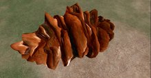 pine cone 04.12.11 public domain derived vertseamless fullperms