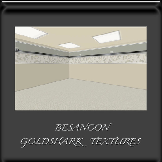 full perm seamless texture BESANCON + CEIL + FLOOR