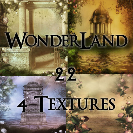 TheBox(WonderLand22)