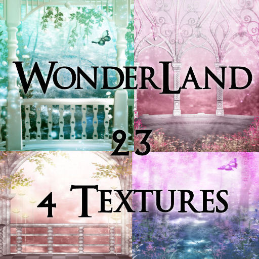 TheBox(WonderLand23)