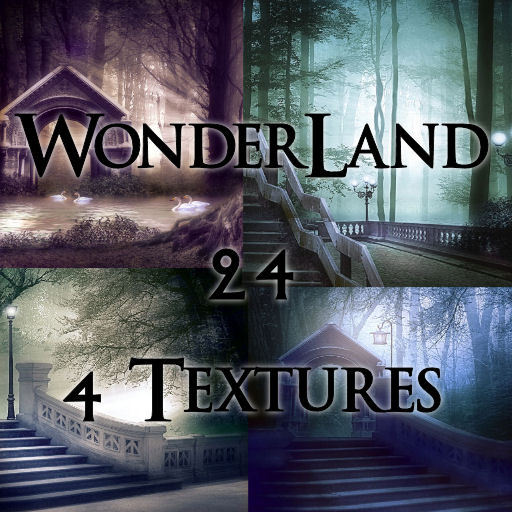 TheBox(WonderLand24)