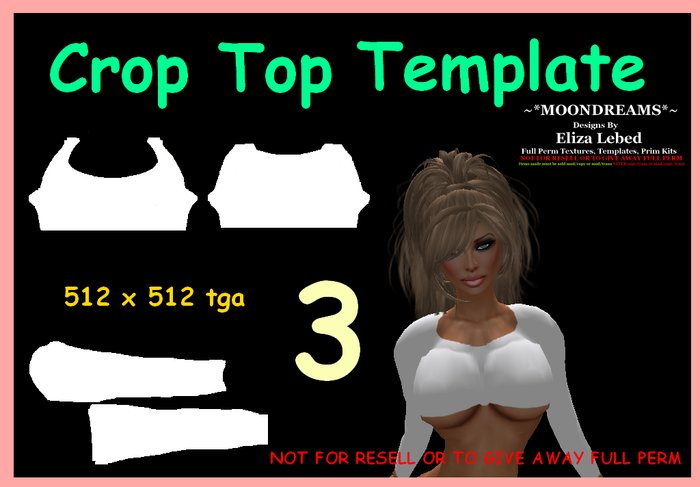 Crop Top 3 Template