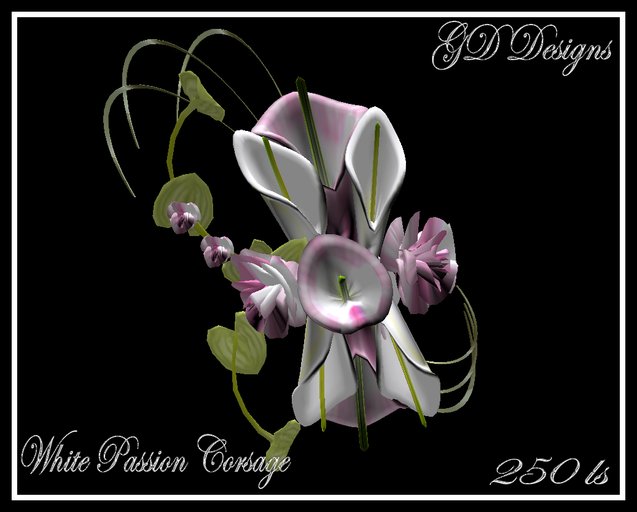 GD White Passion Corsage Boxed