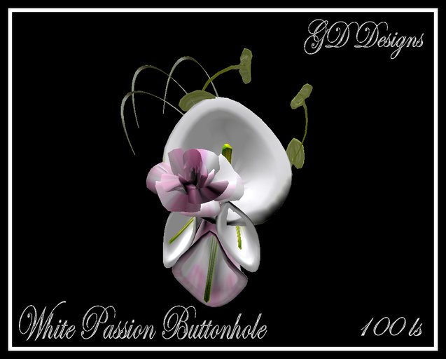 GD White Passion Buttonhole Boxed