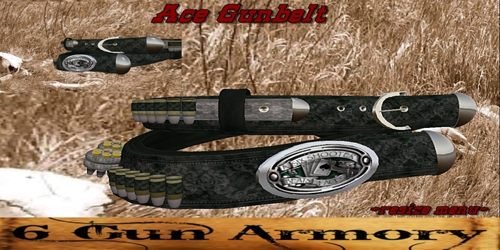 Ace Gunbelt BOXED