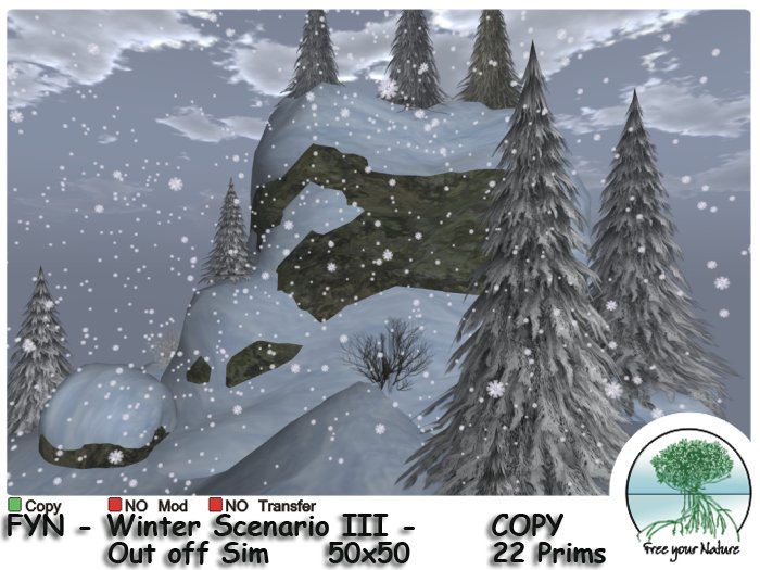 FYN - Winter Scenario III -