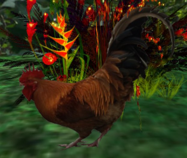 Rooster with sound