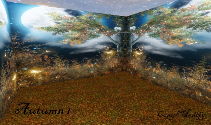 Autumn 1 Skybox BOXED SALE