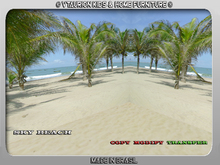 Sky Beach  50x50