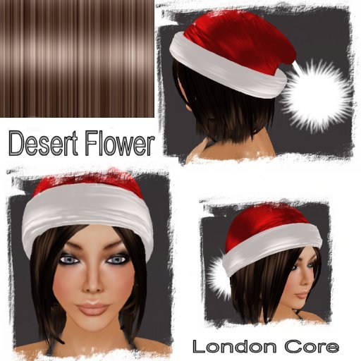 Santa Hair Desert Flower (Boxed)