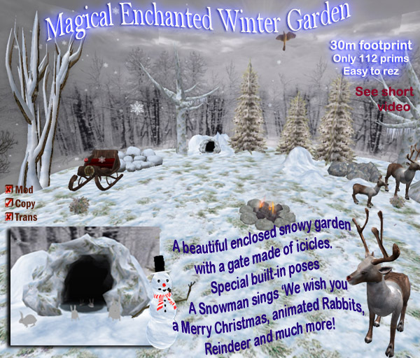 Magical Enchanted Winter Garden