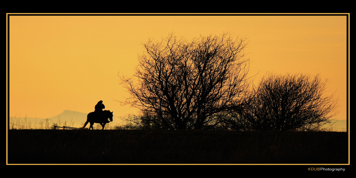 Sunset Horse Ride SALE