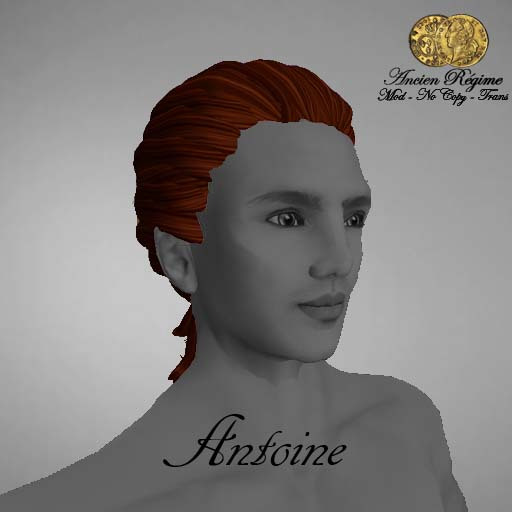AR - Antoine - Ginger