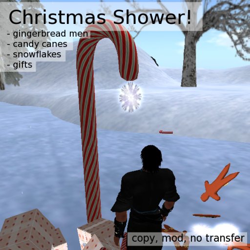 PL Christmas Shower