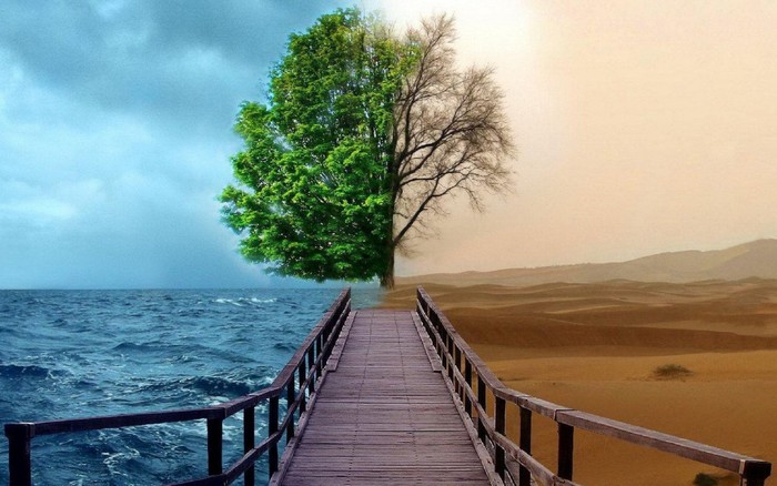 Great texture arbol de la vida y la muerte-1440x900