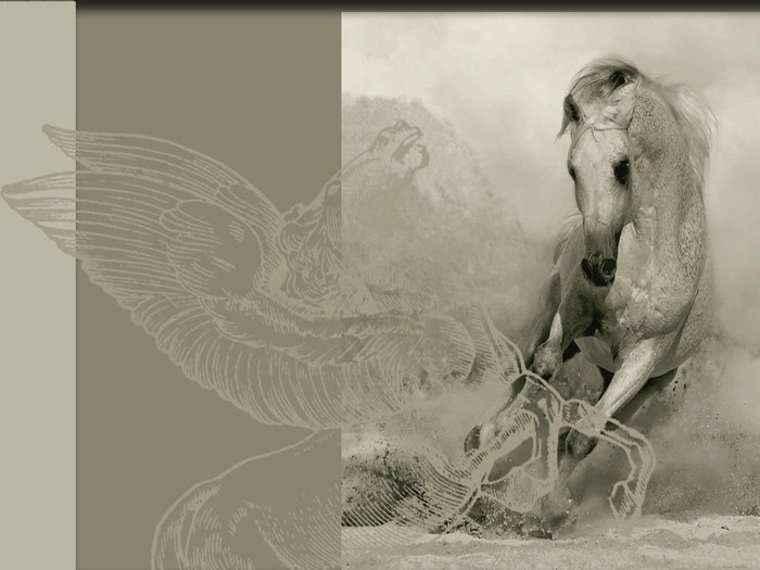 Great texture arte equino-1024x768