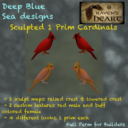 *RH* & DBS 1 prim cardinals (crated) 