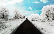 Great poster texture blanco camino-1280x800