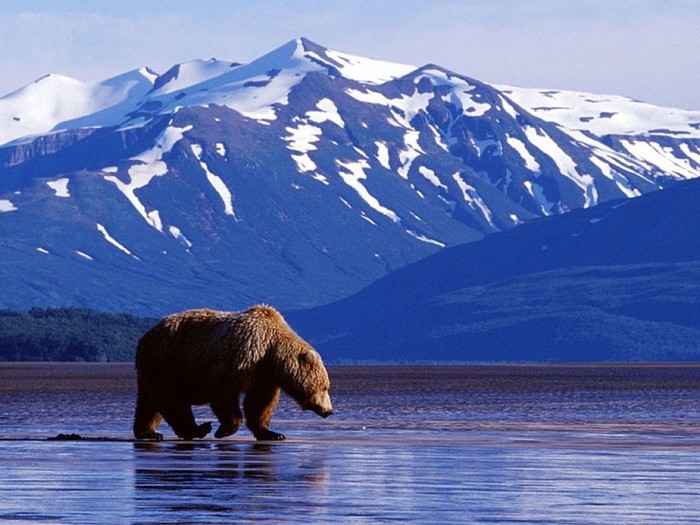 Great poster texture caminata-1024x768 