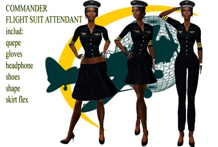 FLIGHT ATTENDANT