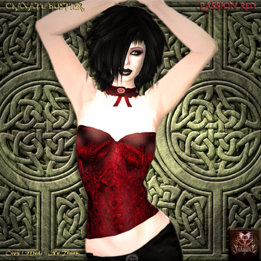 Cravate Bustier Passion Red