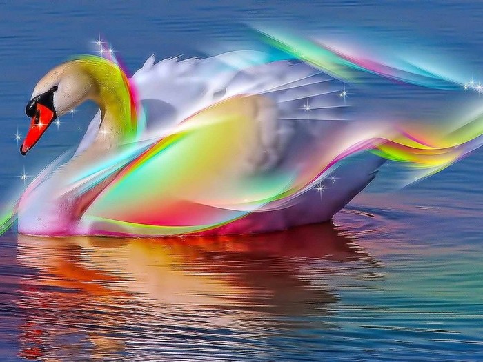 Great poster texture el cisne magico-1024x768
