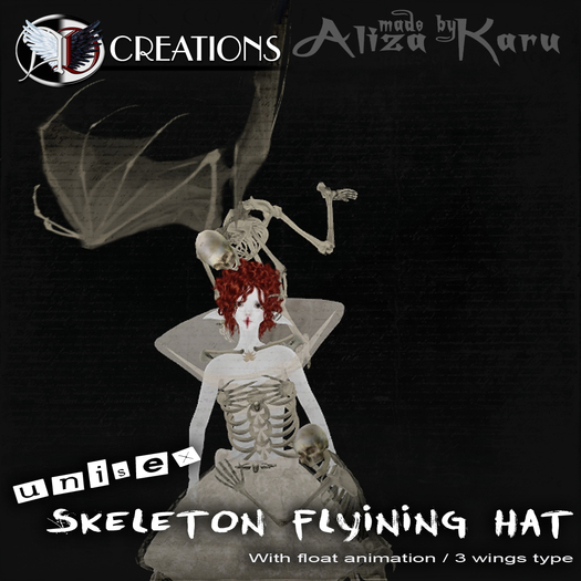 [AD] Skeleton flyining hat 180