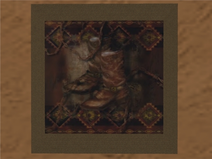 Cowboy Boots Picture