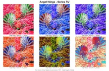 TNC Textures - Angel Wings - Series RV