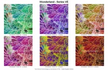 TNC Textures - Wonderland - Series VE