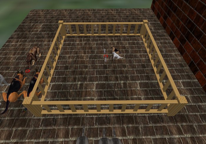 1 prim pen full perms