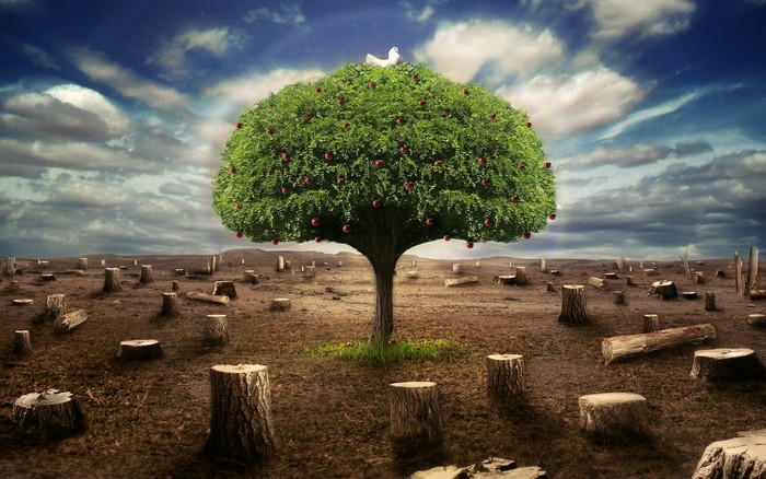Great poster texture el ultimo arbol-1440x900