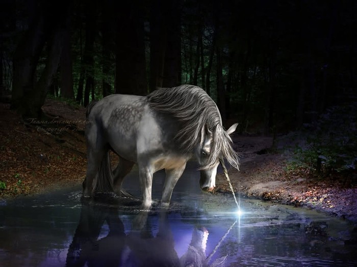 Great poster texture el unicornio-1024x768