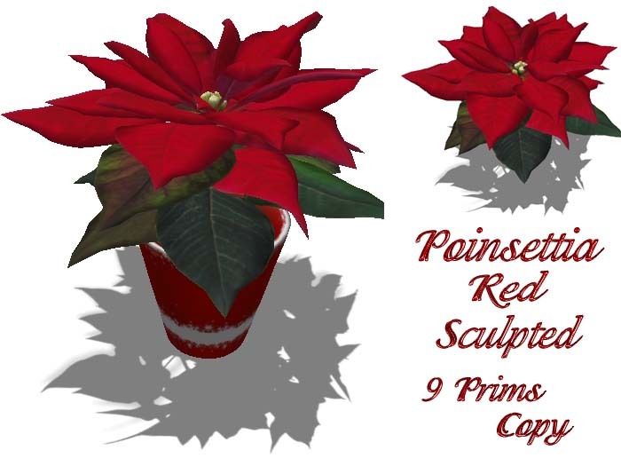 POINSETTIA RED / 2011