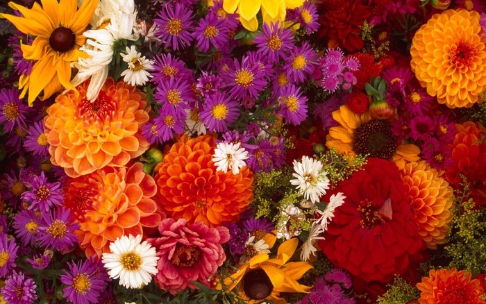 Great poster texture flores-1440x900