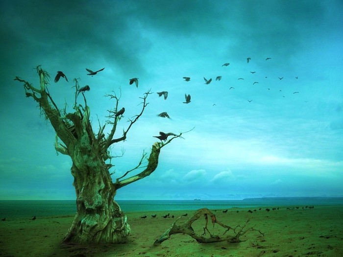 Great poster texture edad del arbol-1024x768