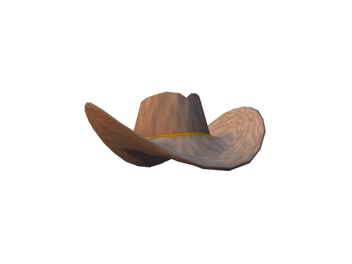 Cowboy Hat