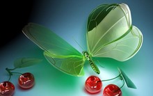 Great poster texture libelula de cristal-1440x900