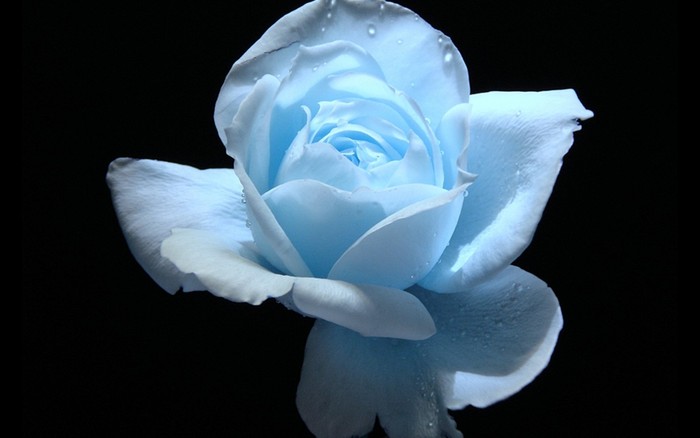 Great poster texture rosa azul-1440x900
