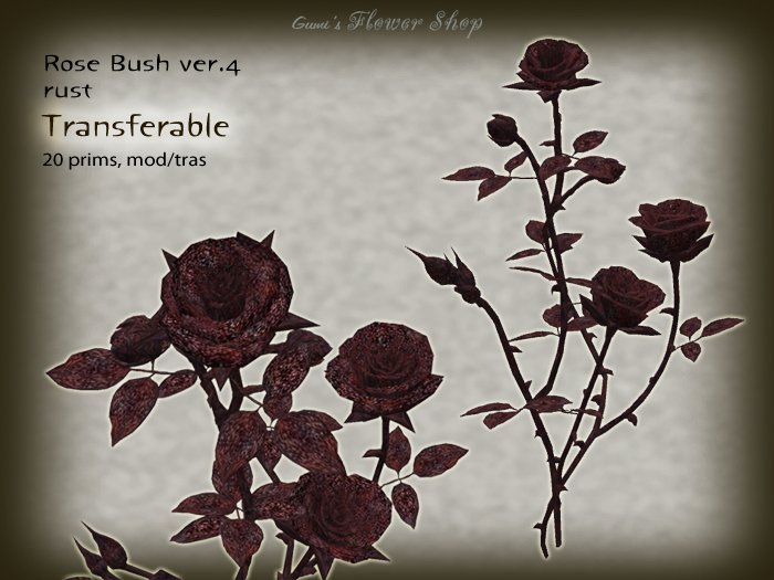 (g.) Rose Bush ver.4 - rust (t)